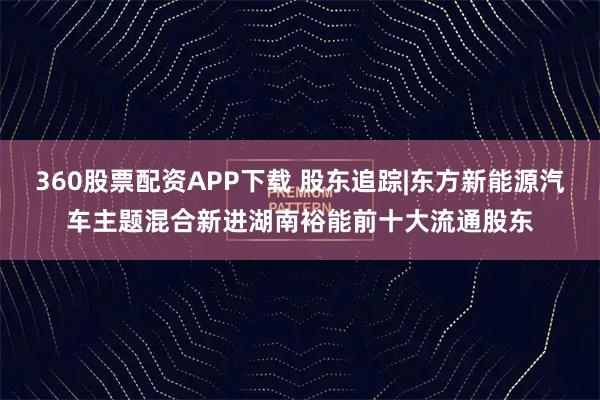 360股票配资APP下载 股东追踪|东方新能源汽车主题混合新进湖南裕能前十大流通股东