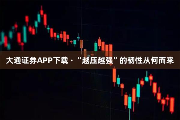 大通证券APP下载 · “越压越强”的韧性从何而来